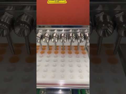 Machine de dépose de bonbons universelle – Production de bonbons à grande échelle | PJBold